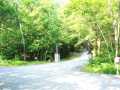 Neillsville Residential Real Estate