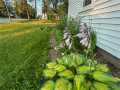 Woodville Residential Real Estate