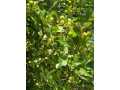 Property Photo 51