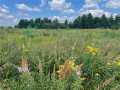 Fairchild Land Real Estate