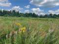 Fairchild Land Real Estate