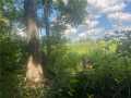 Fairchild Land Real Estate