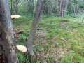 Fairchild Land Real Estate