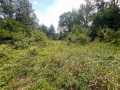 Fairchild Land Real Estate