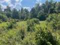 Fairchild Land Real Estate