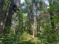 Fairchild Land Real Estate