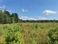 Fairchild Land Real Estate