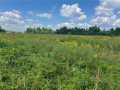 Fairchild Land Real Estate