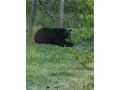 Property Photo 51