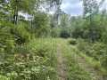 Rice Lake Land Real Estate