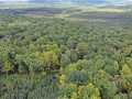 Rice Lake Land Real Estate