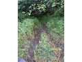 Rice Lake Land Real Estate