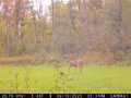 Rice Lake Land Real Estate