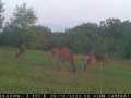 Rice Lake Land Real Estate