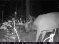 Rice Lake Land Real Estate