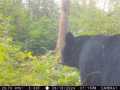 Rice Lake Land Real Estate