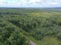 Rice Lake Land Real Estate