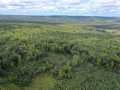 Rice Lake Land Real Estate