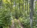 Rice Lake Land Real Estate