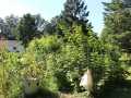 Clayton Residential Real Estate