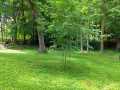 Frederic Residential Real Estate