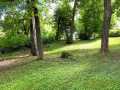 Frederic Residential Real Estate