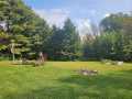 Rice Lake Residential Real Estate