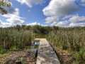 Property Photo 50