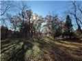 Chippewa Falls Land Real Estate