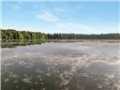 Chippewa Falls Land Real Estate