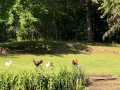 Fall Creek Residential Real Estate