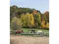 Fall Creek Residential Real Estate