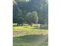 Fall Creek Residential Real Estate