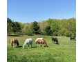 Fall Creek Residential Real Estate