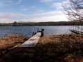 Stone Lake Residential Real Estate