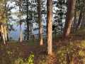 Danbury Residential Real Estate