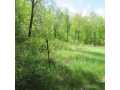 Boyceville Land Real Estate