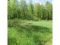 Boyceville Land Real Estate