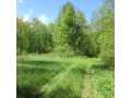 Boyceville Land Real Estate