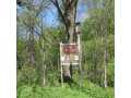 Boyceville Land Real Estate