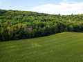 Colfax Land Real Estate