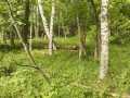Colfax Land Real Estate