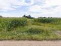 Sarona Land Real Estate