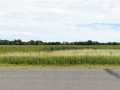 Sarona Land Real Estate