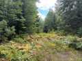 Glidden Land Real Estate