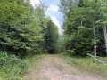 Glidden Land Real Estate