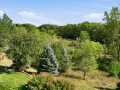 Chippewa Falls Residential Real Estate