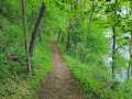 Chippewa Falls Residential Real Estate