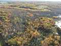 Minong Land Real Estate