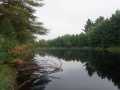 Black River Falls Land Real Estate